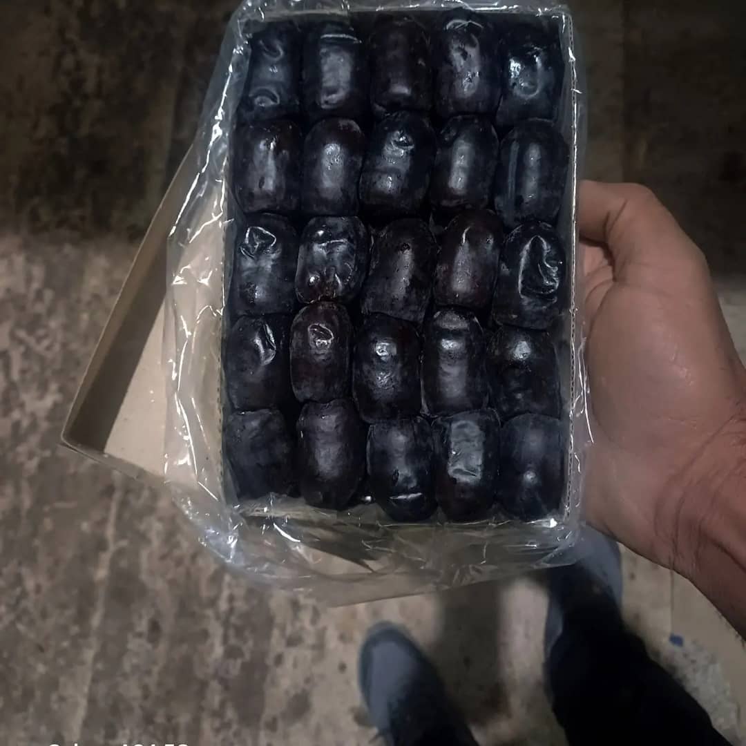 خرید عمده خرما با تحویل منظم