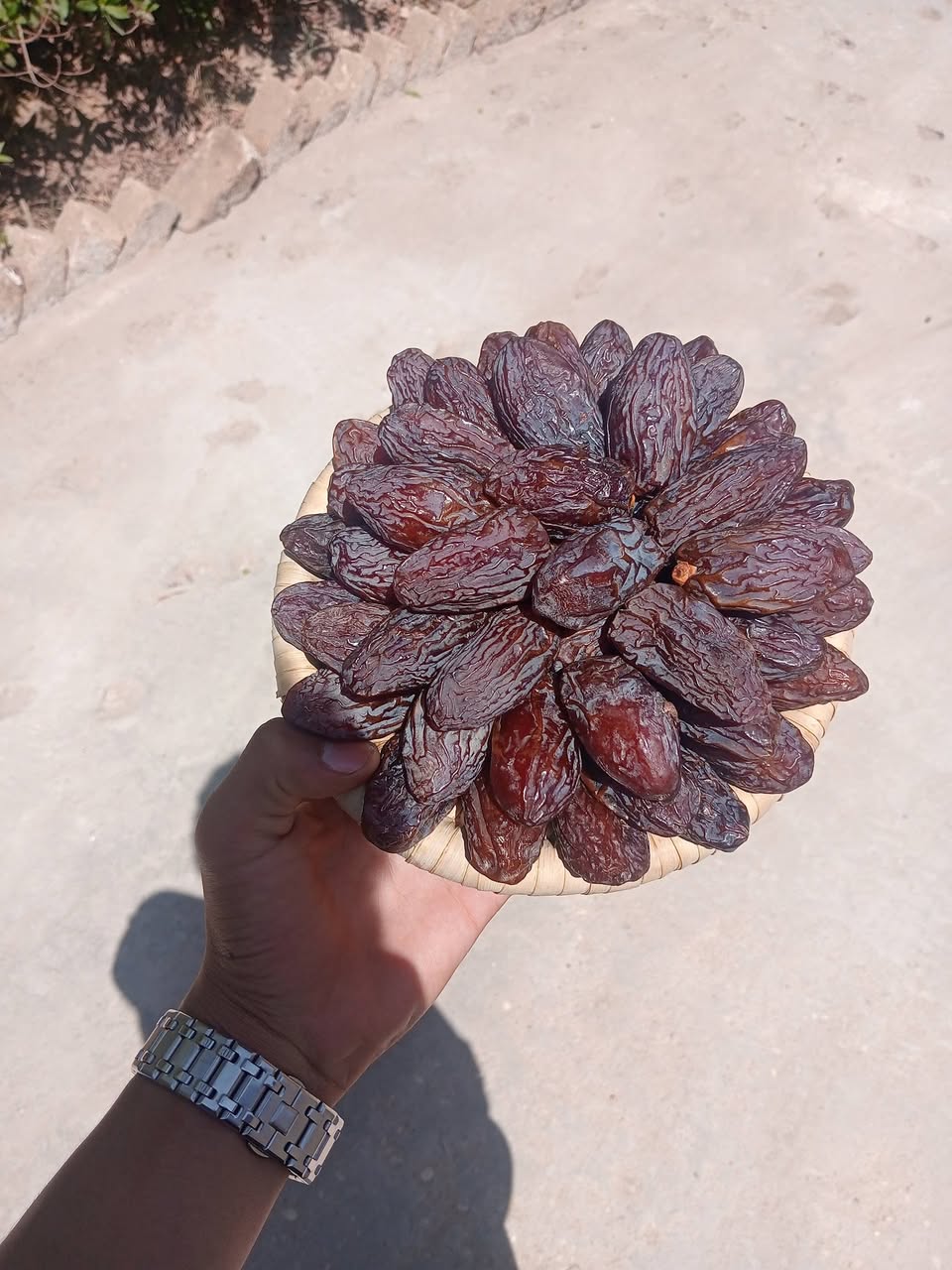 خرید عمده خرما مجول درجه 1