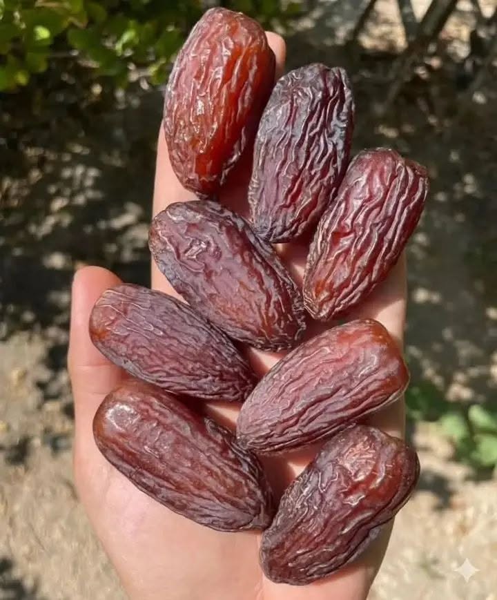 خرید عمده خرما مجول درجه 2