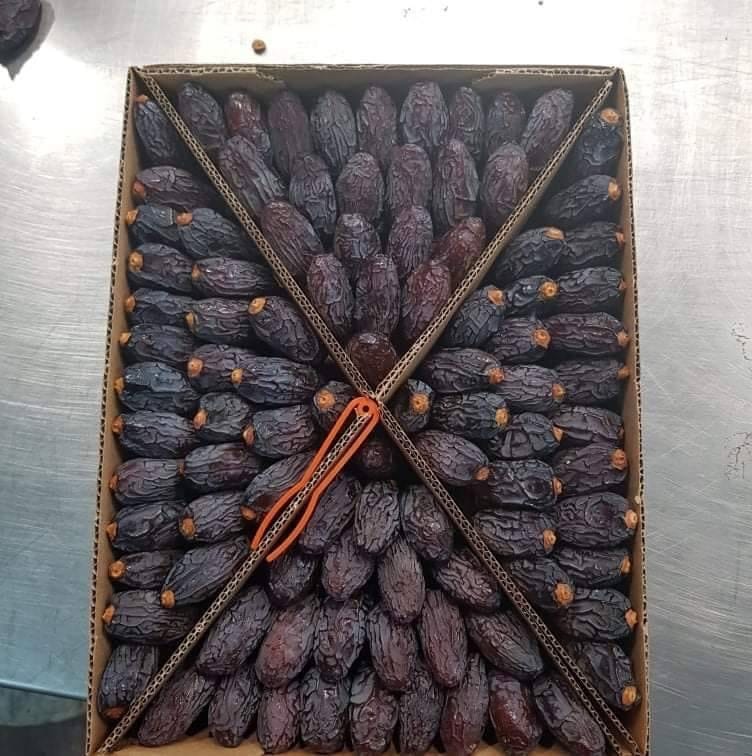 تصویر 2 از خرید عمده خرما مجول درجه 2