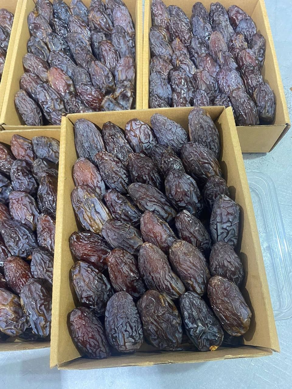 خرید خرما مجول مراکشی