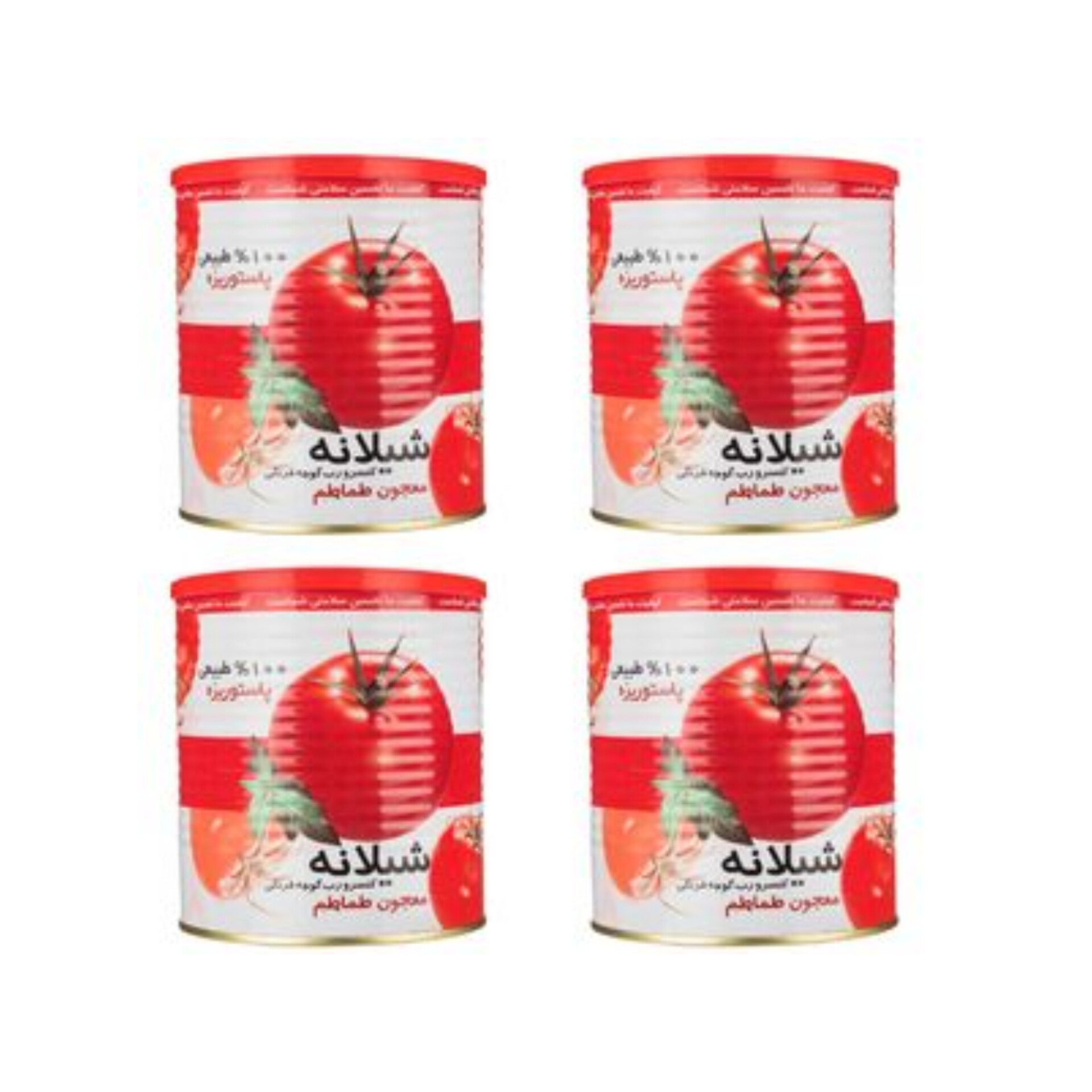 قیمت رب گوجه فرنگی بدون نگهدارنده