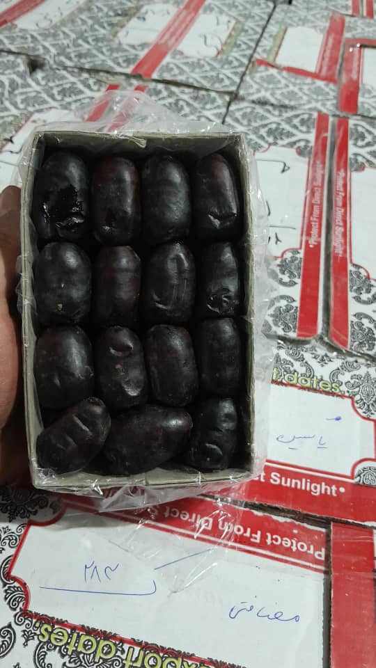 تصویر 1 از خرما مضافتی بدون واسطه با کیفیت بالا