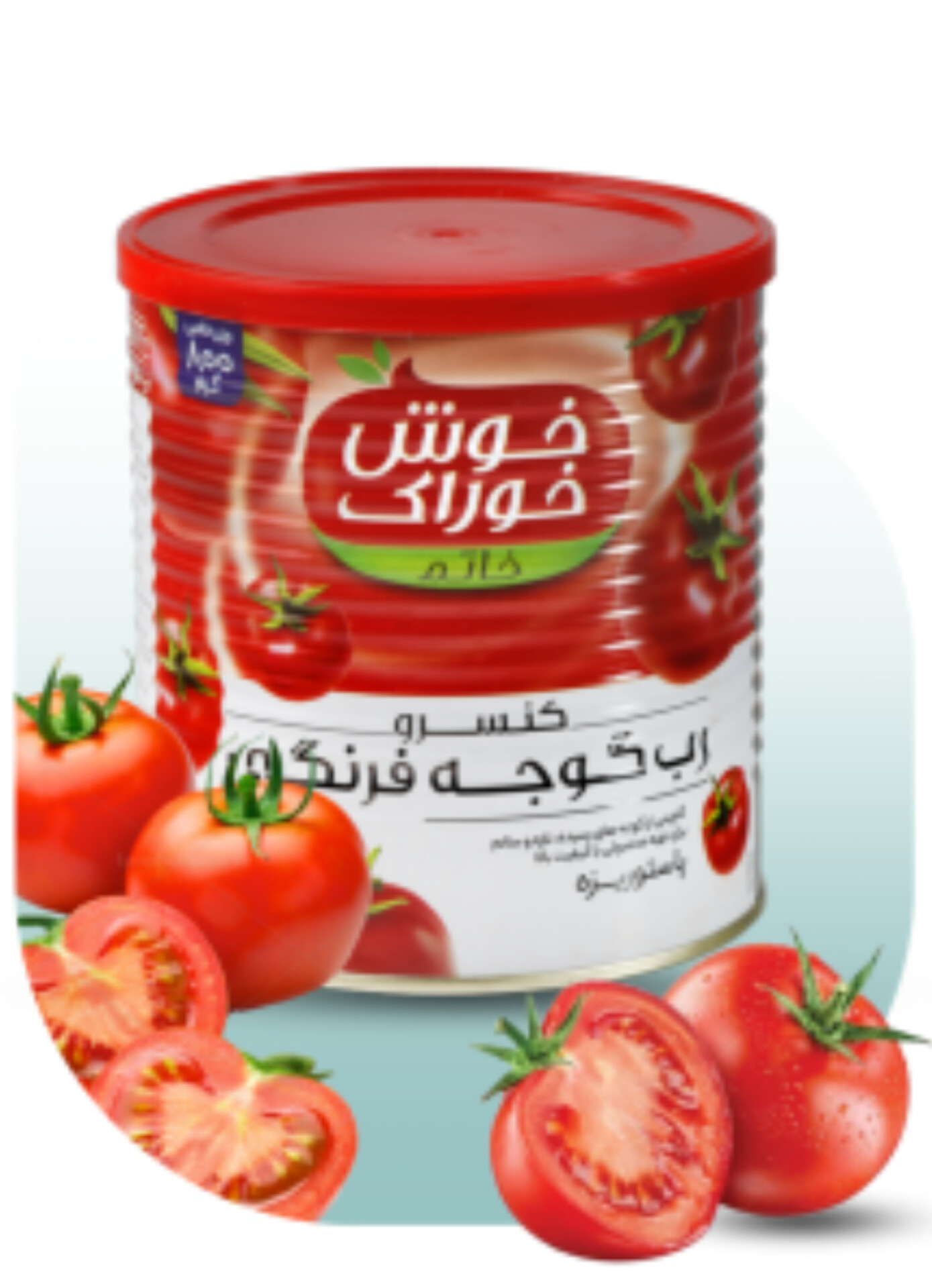 خرید عمده رب گوجه فرنگی برای صادرات به کشورهای عربی