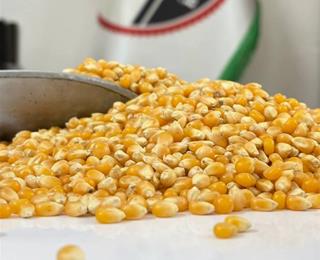 تصویر 1 از کنسرو ذرت آروم آدا دانه های طلایی خوش رنگ