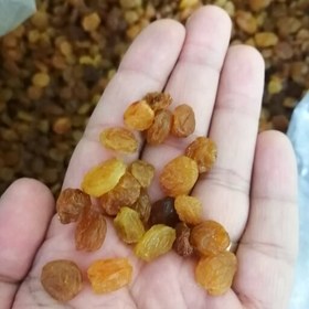 تصویر 1 از کشمش پلویی پاک شده آماده مصرف با کیفیت و طعم طبیعی