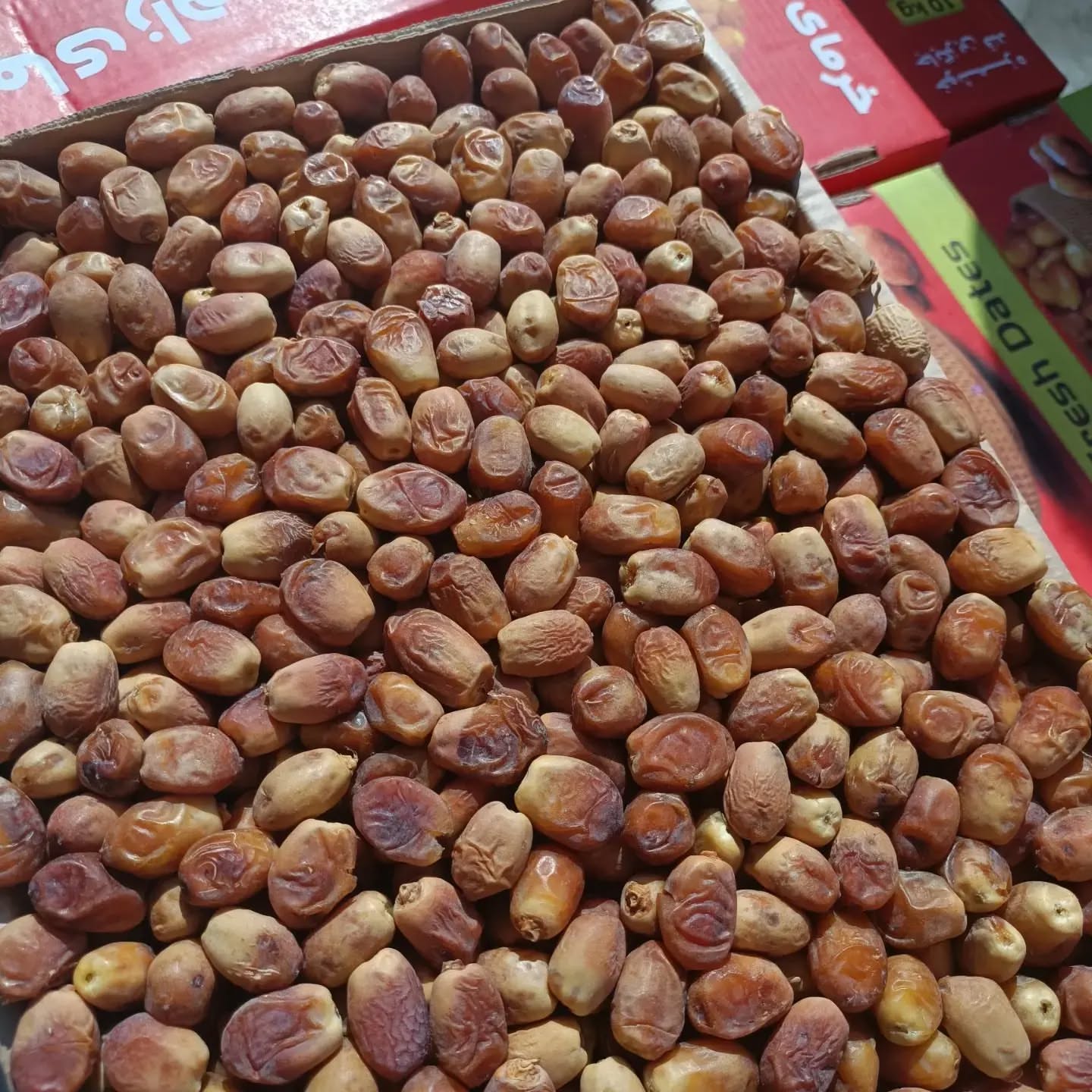 تصویر 2 از خرید عمده خرما زاهدی با کیفیت بالا