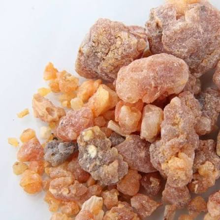 قیمت صمغ باریجه