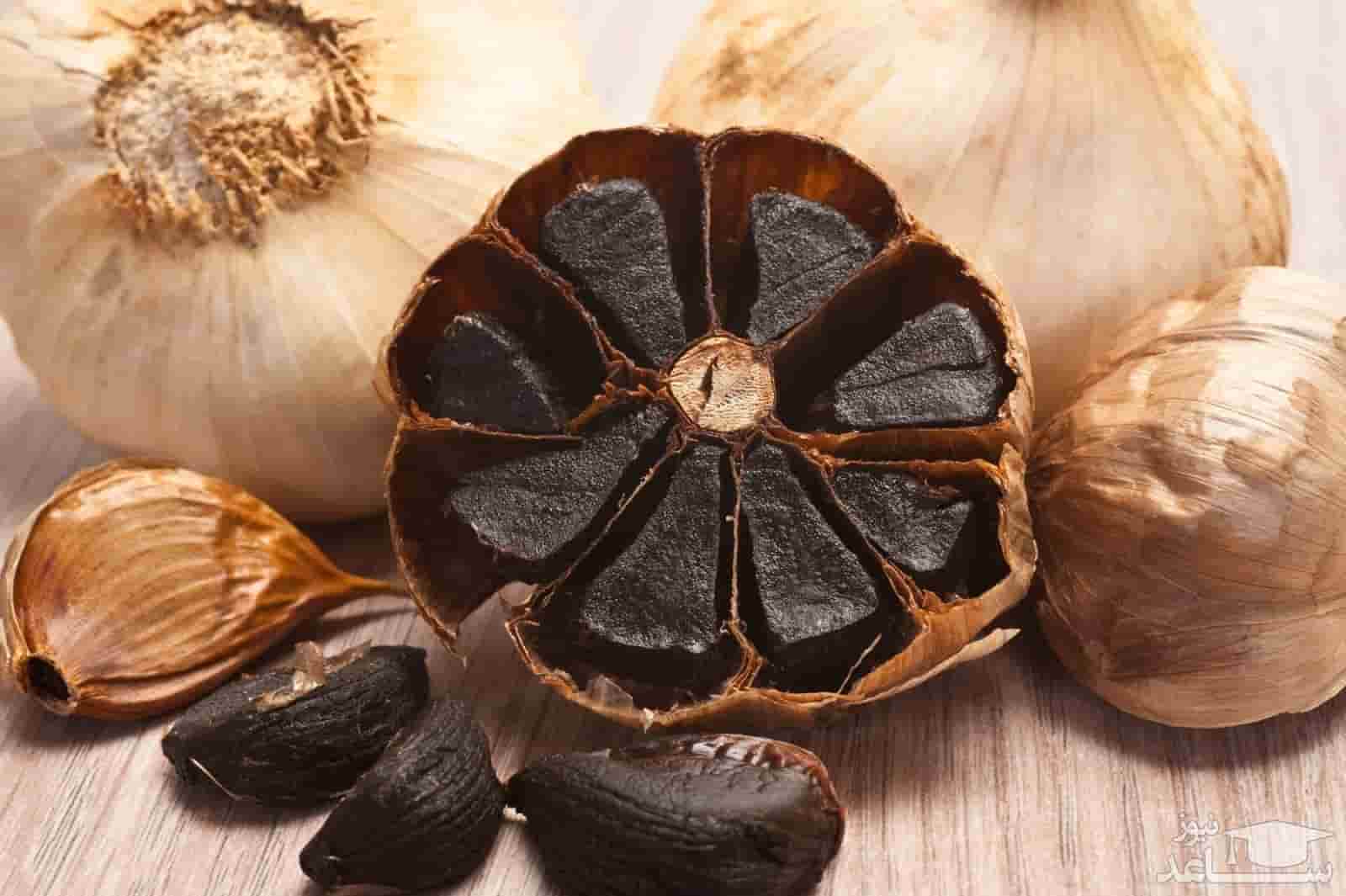سیر سیاه شمال مرغوب با کیفیت فرآوری ممتاز