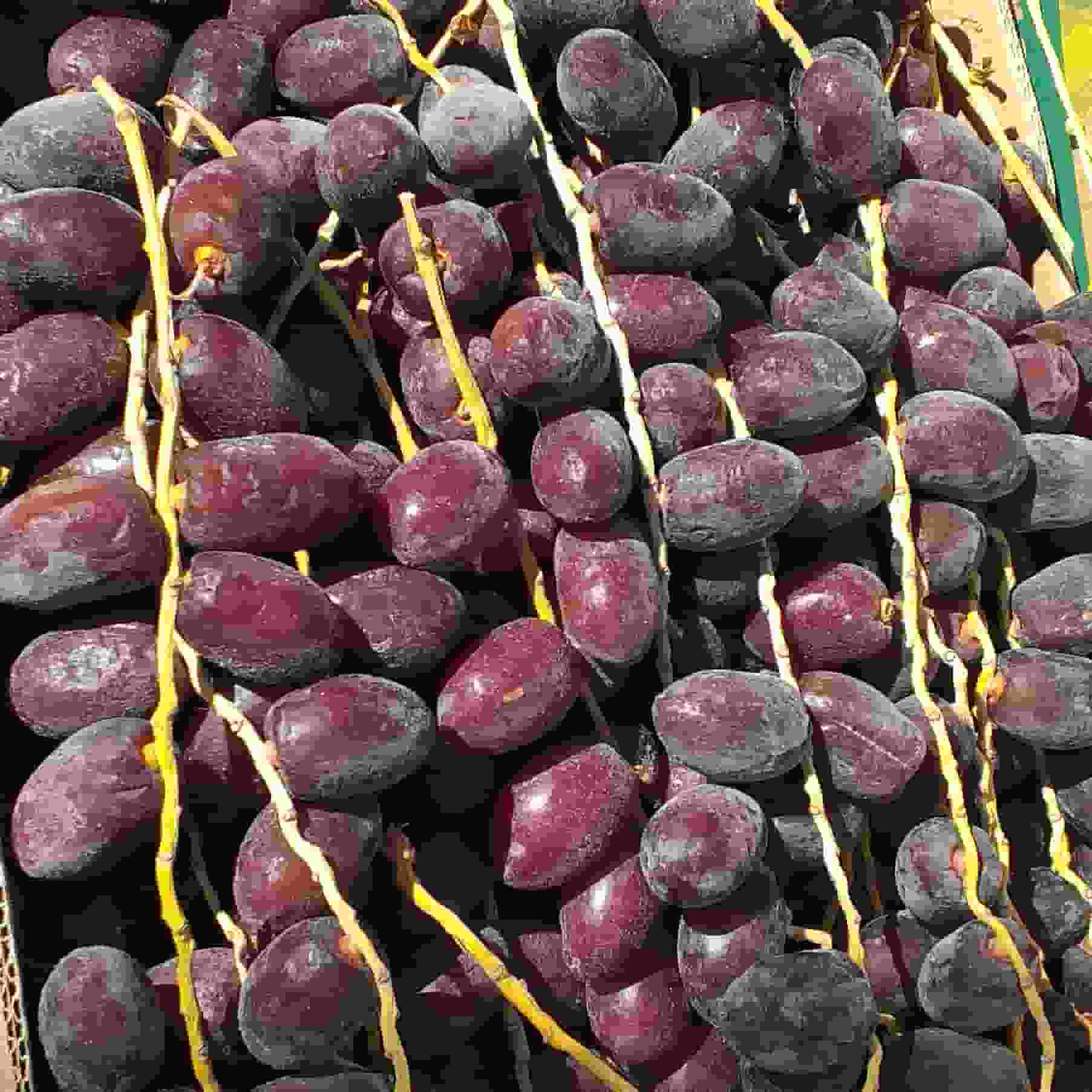 خرما مضافتی خوشه ای محصولی خاص برای عرضه متفاوت