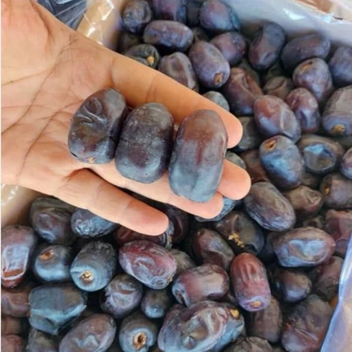 تصویر 1 از قیمت خرمای مضافتی عالی بم ویژه بازار عمده کشور