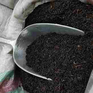 تصویر 4 از چای اصل شمال با عطر طبیعی و طعم اصیل