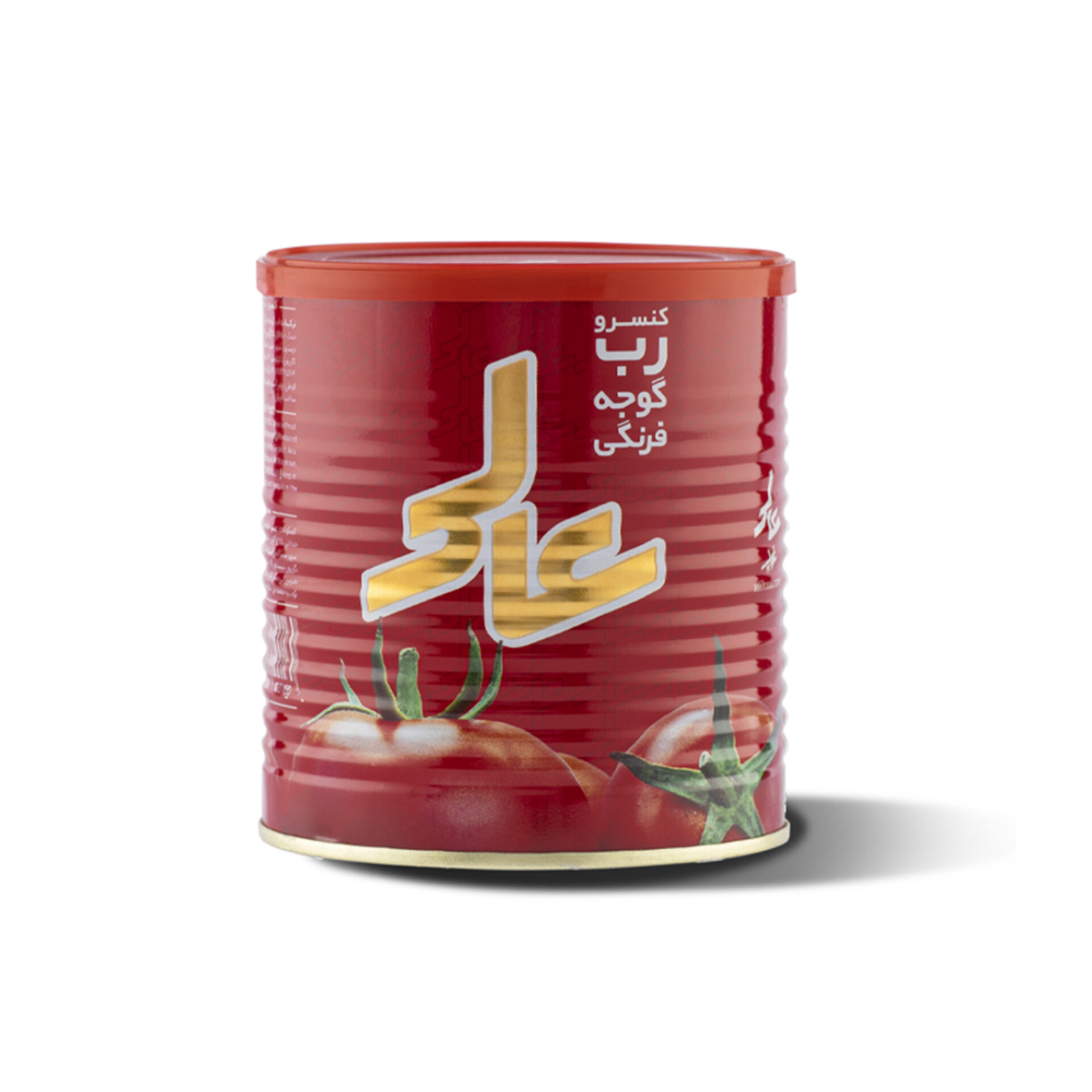 مدارک لازم برای صادرات رب گوجه فرنگی