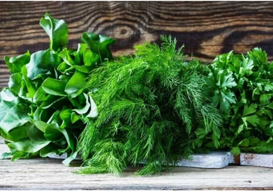 انواع سبزیجات قرمه سبزی و ترش واش شمالی با عطر دلنشین