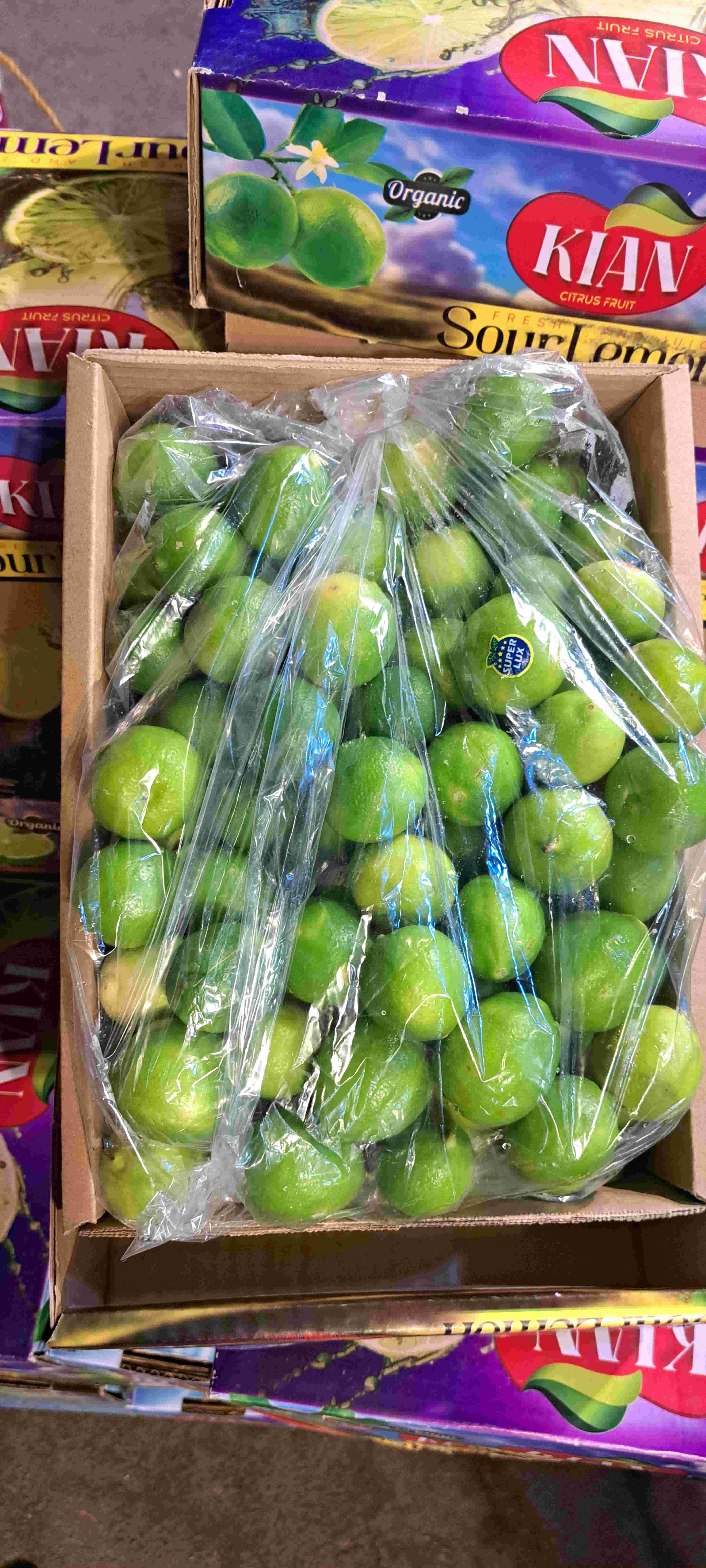 لیمو ترش جنوب + قیمت مناسب