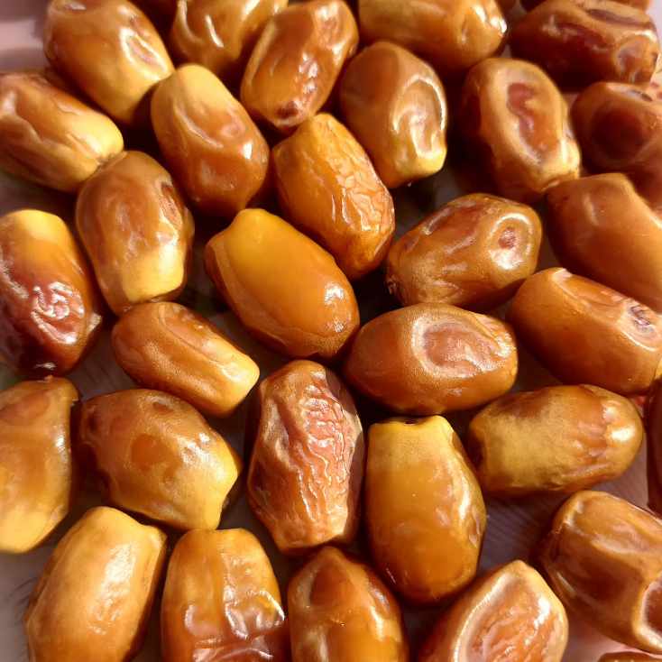 تصویر 1 از خرید عمده خرما زاهدی با اطمینان