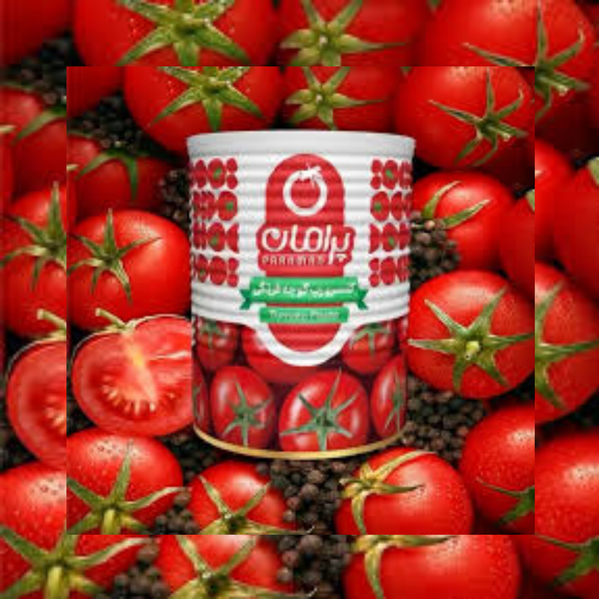 چگونه مشتریان خارجی رب گوجه فرنگی پیدا کنیم؟