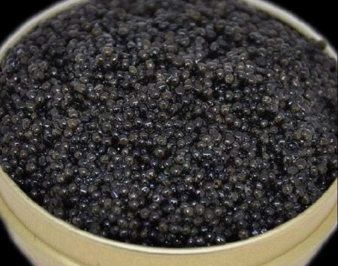 تصویر 1 از کنسرو خاویار روسی تهیه شده از مواد منتخب