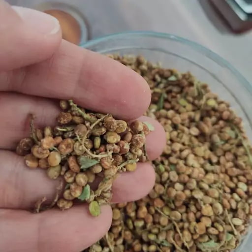 تصویر 4 از سماق کوهی مرغوب تهیه شده از بهترین دانه ها
