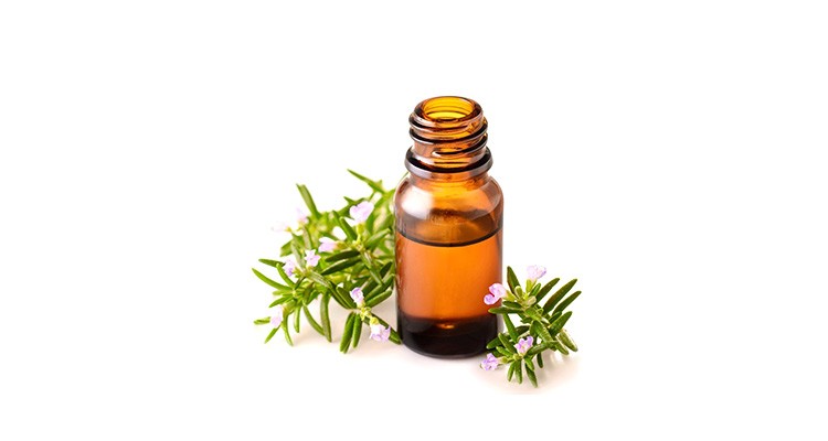 روغن رزماری اصل مناسب ماساژ آرامش بخش کف سر