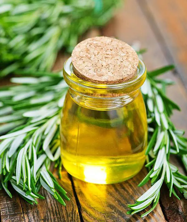 تصویر 3 از روغن رزماری مخصوص مراقبت روزانه پوست سر حساس خانگی