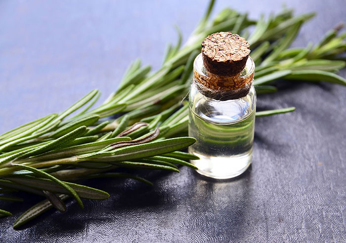 تصویر 3 از روغن رزماری برای تقویت موهای نازک و شکننده طبیعی