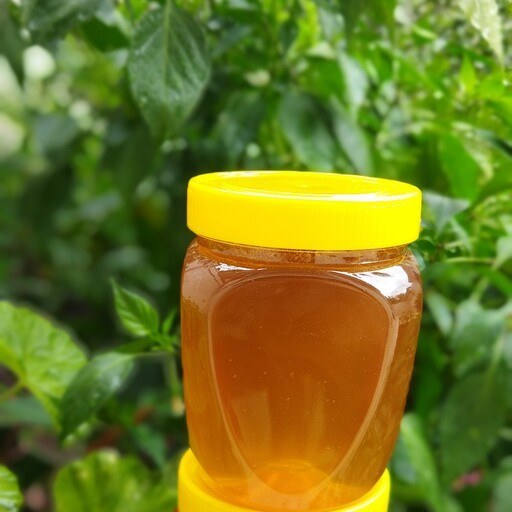 تصویر 1 از عسل کوهی سالار خمین با عطر طبیعی و ماندگار