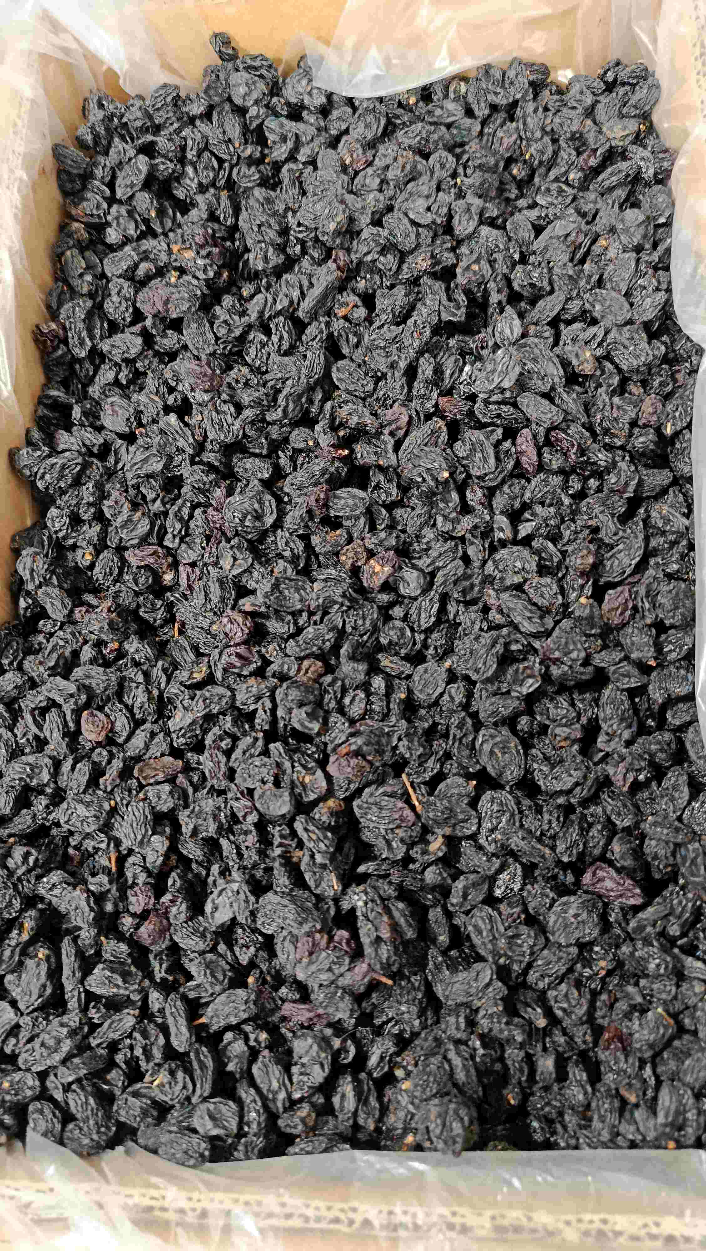 خرید کشمش خوراک