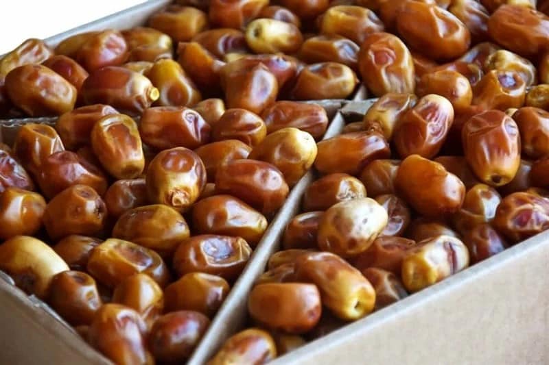 تصویر 2 از خرما زاهدی قصب با بافت نیمه خشک و ممتاز