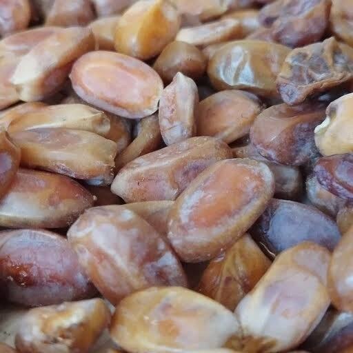 تصویر 4 از خرما زاهدی بدون هسته آماده مصرف روزانه