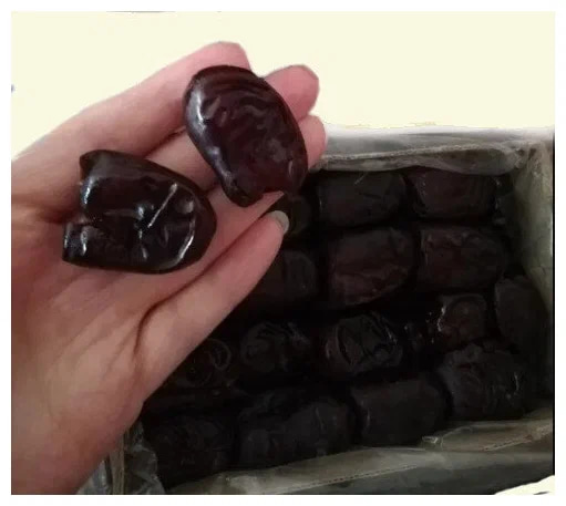 تصویر 4 از خرما مضافتی عالی بم مناسب عرضه در بازارهای داخلی و صادراتی