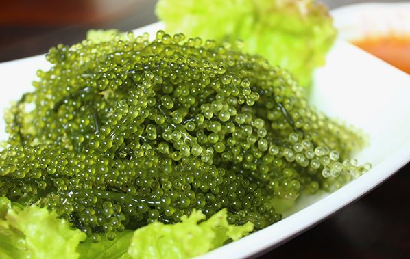 تصویر 3 از خاویار گیاهی سبز مناسب تزیین غذاهای دریایی