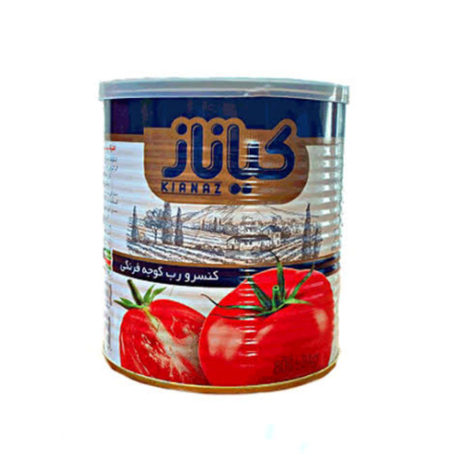 رب گوجه‌فرنگی ایرانی ترکیبی از کیفیت اصالت و قیمت رقابتی