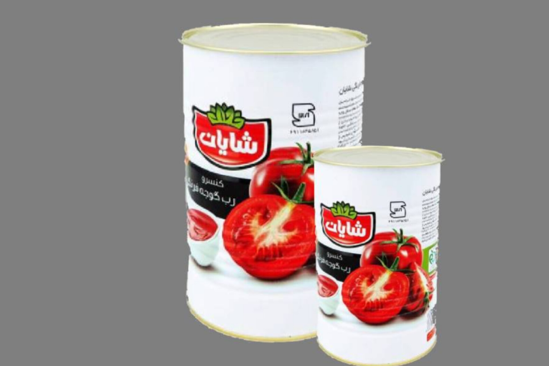 پیش‌بینی قیمت رب گوجه فرنگی در سال آینده