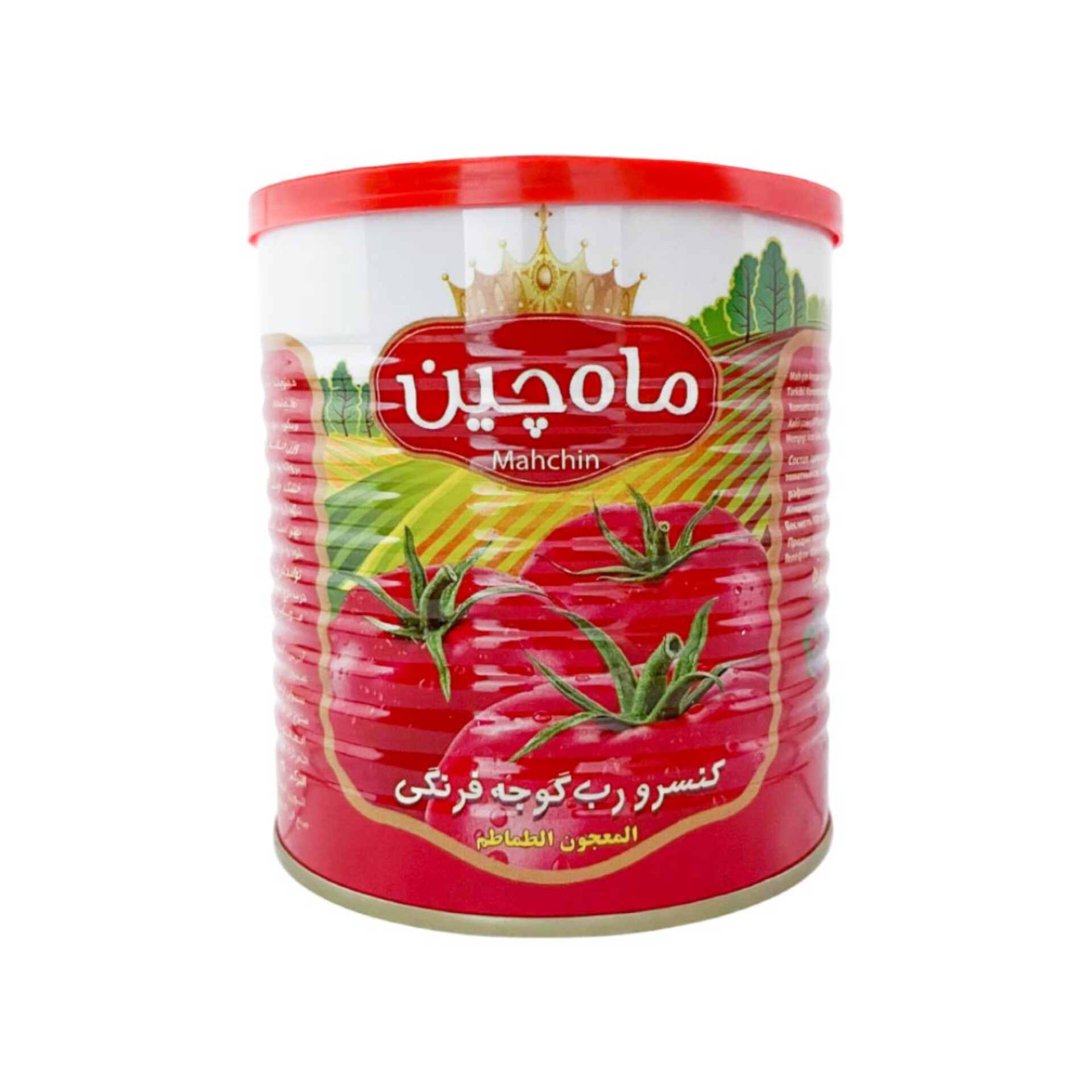 قیمت رب گوجه فرنگی تولید جدید