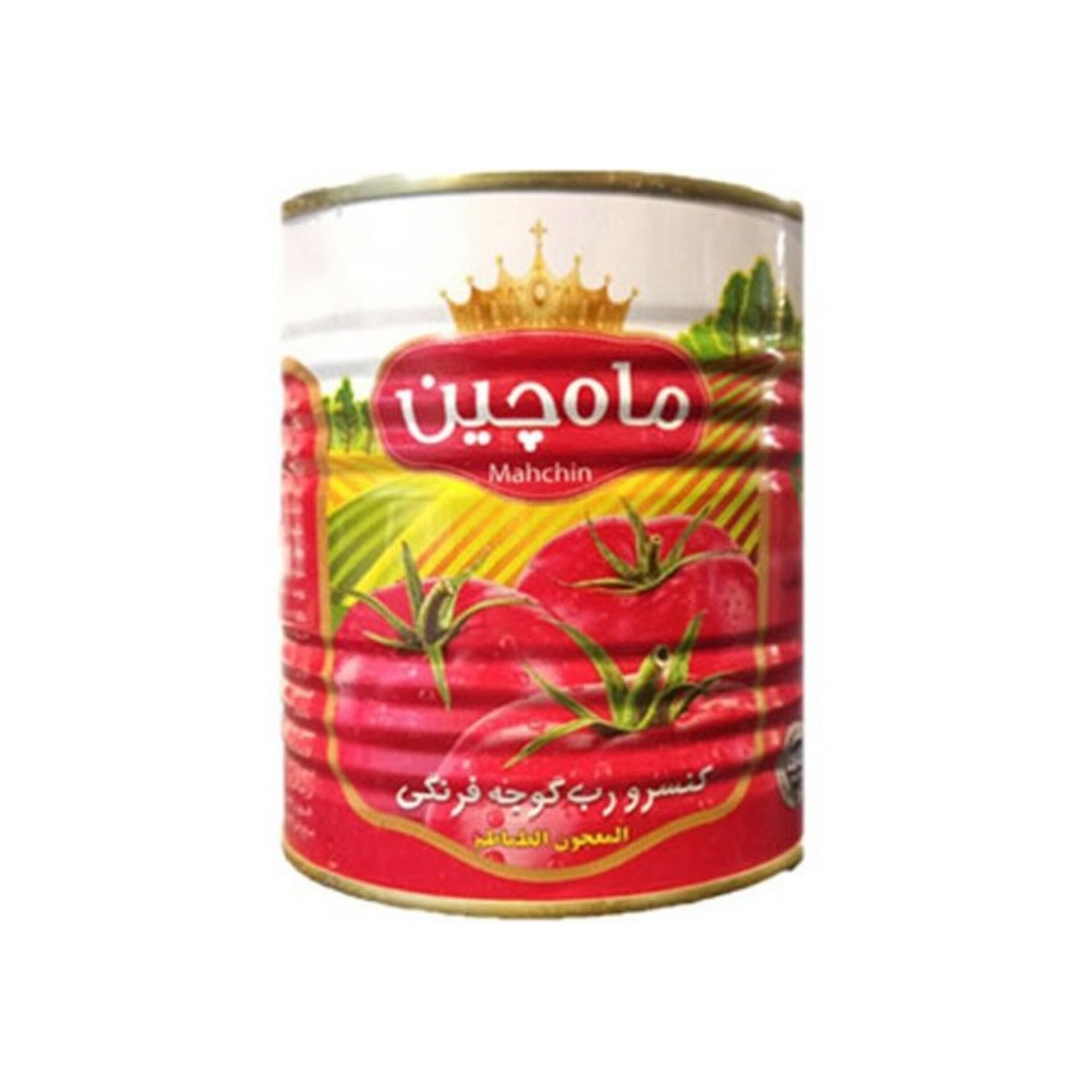 قیمت رب گوجه فرنگی کارخانه‌ای