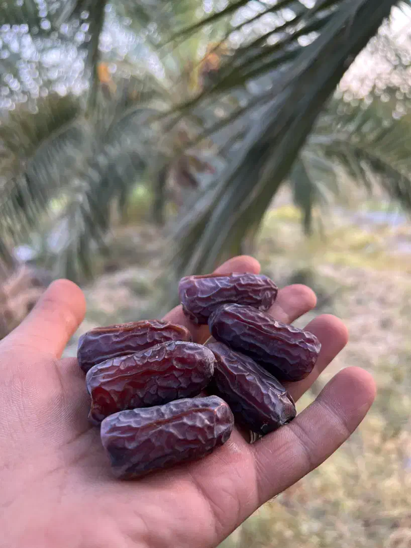 تصویر 2 از خرمای پیارم درجه یک حاجی آباد