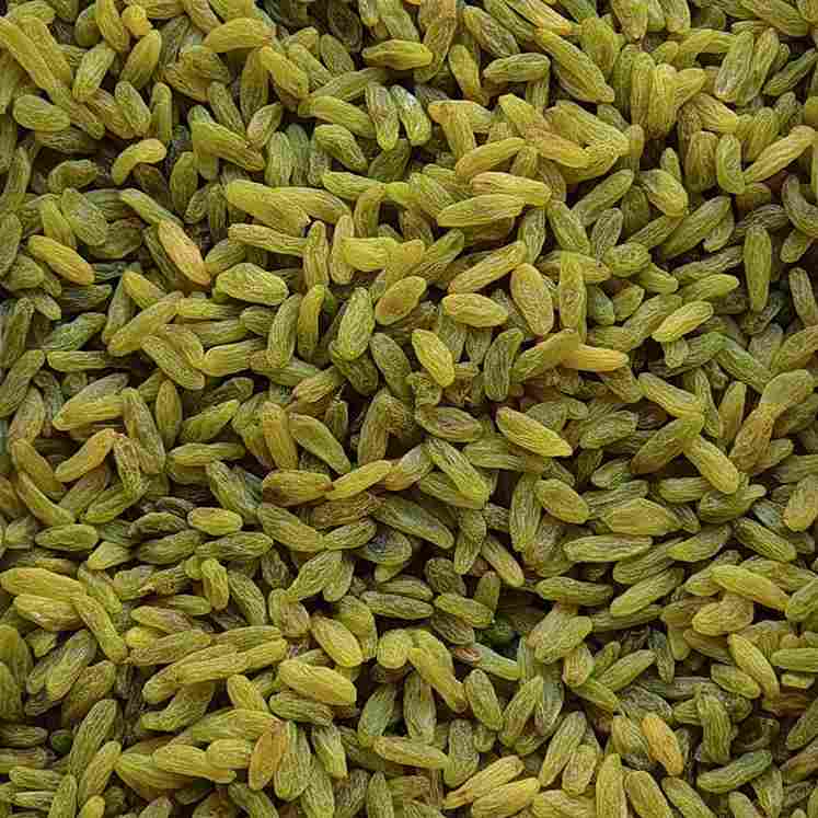 تصویر 4 از کشمش سبز تازه تهیه شده از بهترین تاکستان ها