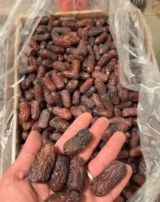 تصویر 4 از خرما پیارم باسکول مناسب خرید فله ای با کیفیت بالا