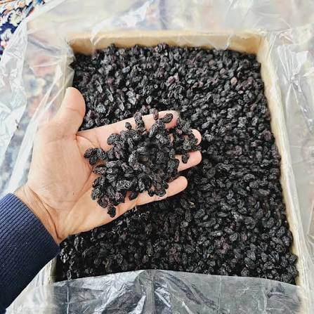 تصویر 4 از کشمش آفتابی با کیفیت مناسب صنایع غذایی
