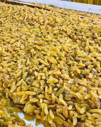 تصویر 1 از کشمش افغانی با کیفیت مناسب مصارف صادراتی