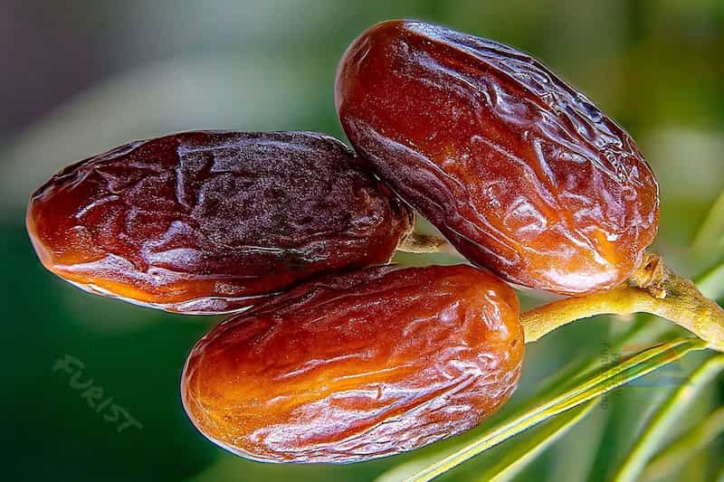 خرما مضافتی زرد گزینه ای مناسب برای صادرات و فروش داخلی