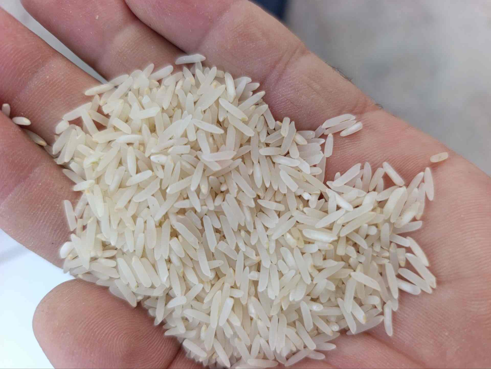 تصویر 2 از قیمت خرید عمده برنج فجر سوزنی ممتاز