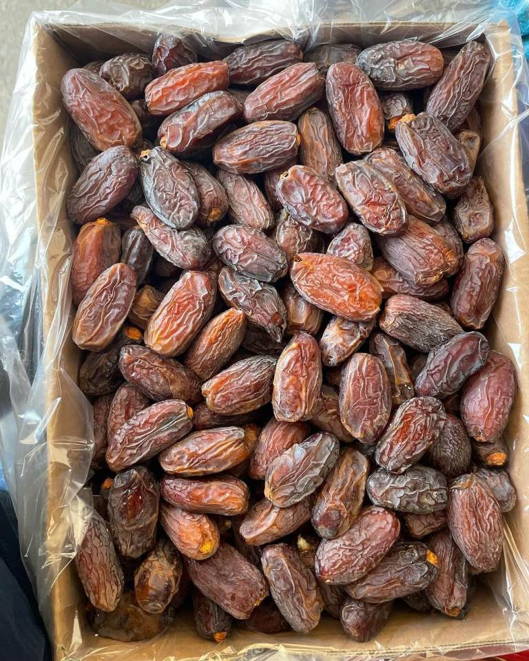 تصویر 1 از تأمین کننده خرما مجول مراکشی
