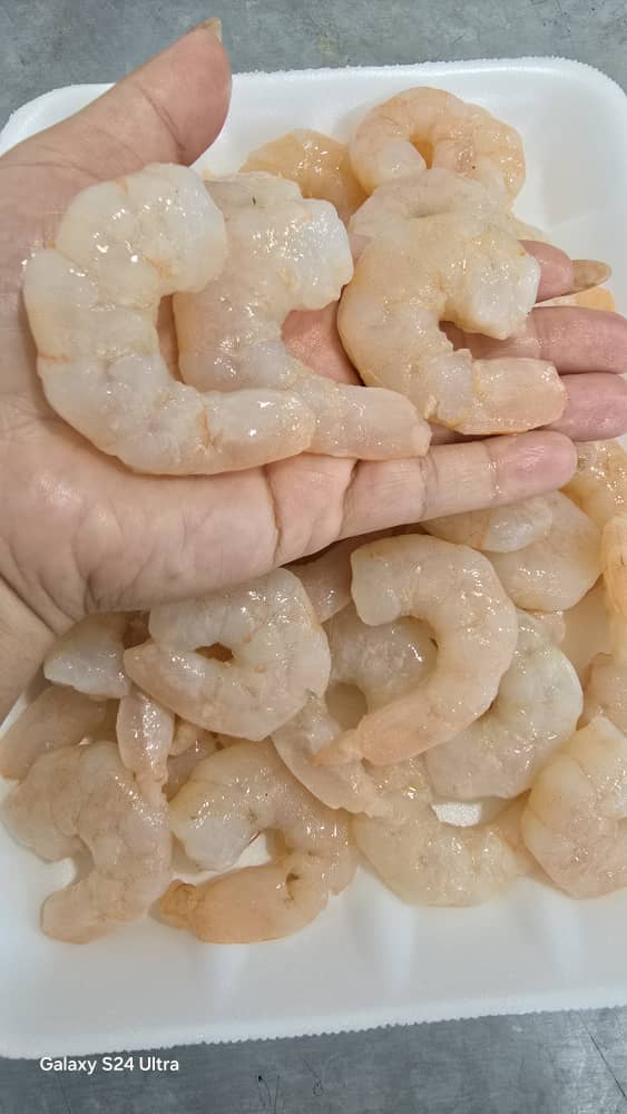 تصویر 2 از راهنمای انتخاب  میگوی تاره مرغوب