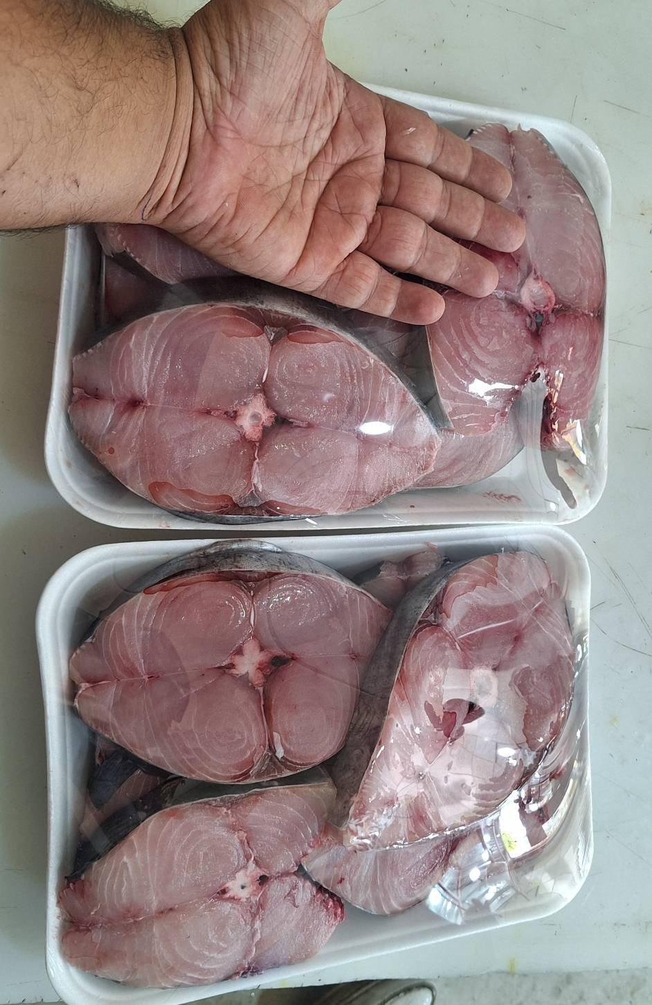 تصویر 1 از ویژگی های ماهی قباد صادراتی مرغوب