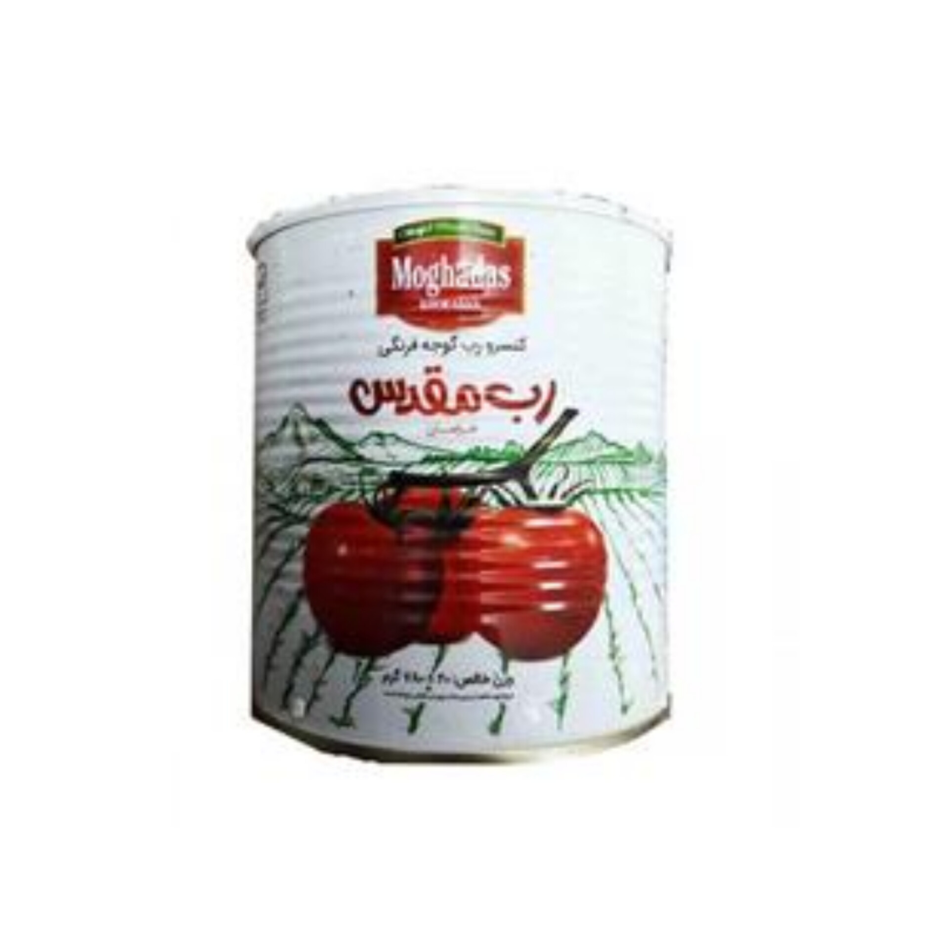 خرید عمده رب گوجه فرنگی مستقیم از کارخانه