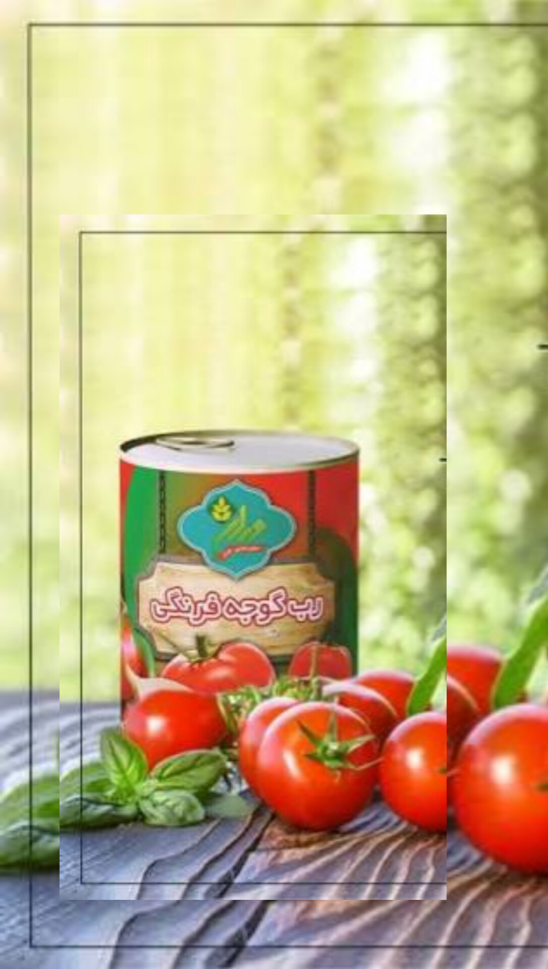 خرید عمده رب گوجه فرنگی با قرارداد بلندمدت