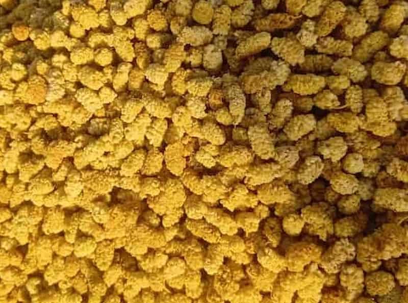 تصویر 3 از توت خشک افغانستان با طعمی شیرین و بی نظیر