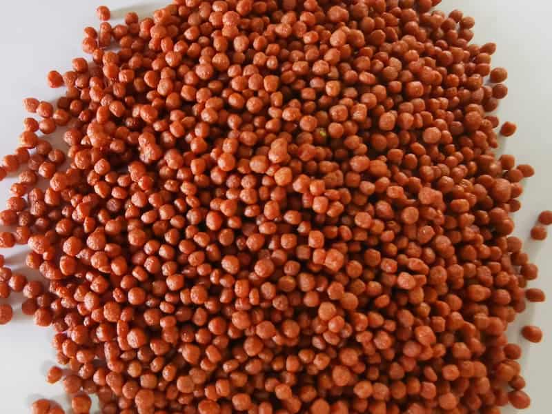 تصویر 4 از خوراک ماهی کپور باکیفیت برای افزایش وزن و سلامت آبزیان